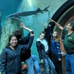 ¸„.-•~¹°”ˆ˜¨🎀𝑔𝓊𝒸𝒸𝒾~𝓉𝑒𝒶𝓇𝓈🎀¨˜ˆ”°¹~•-.„¸