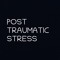 Post Traumatic Stress (PTS)