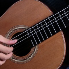 Heitor Villa-Lobos - Guitar concerto with small orchestra - Andantino E Andante, Allegro Non Troppo