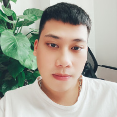 dương lê việt triều