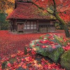 neelam