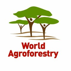 World Agroforestry (ICRAF)