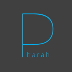 Pharah_DUCK