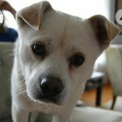 💎𝖞𝖆𝖓𝖓𝖆🥶