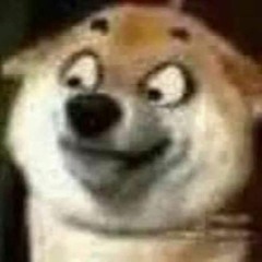 We lack critical information