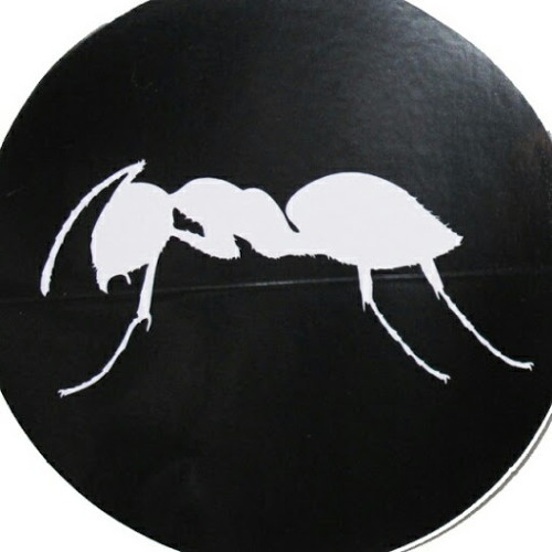 Ants CZ’s avatar