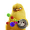 pp