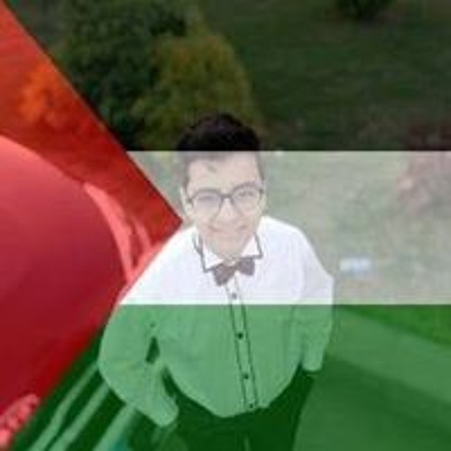 Mostafa Kamal’s avatar