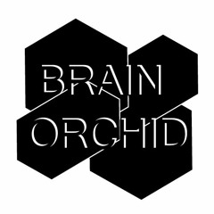 Brain Orchid Records