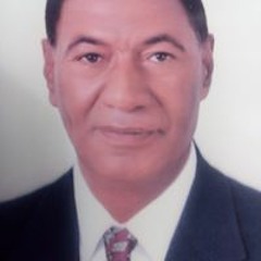 محمد ربيع الشيخ