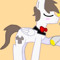 Joris The Flying Pony