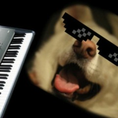 pigdeons