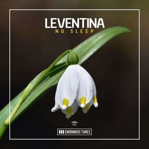 Leventina’s avatar