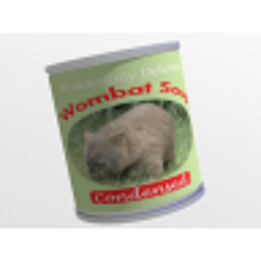 wombatsoup