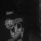 jacob.barbuto