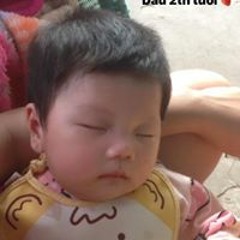 Bố Của Dâu Tây