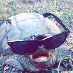 ThrustingTurtlez