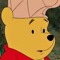 winnie the foo