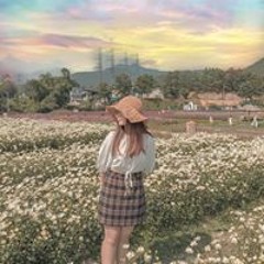 Mai Hương