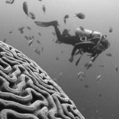 Сложные разговоры