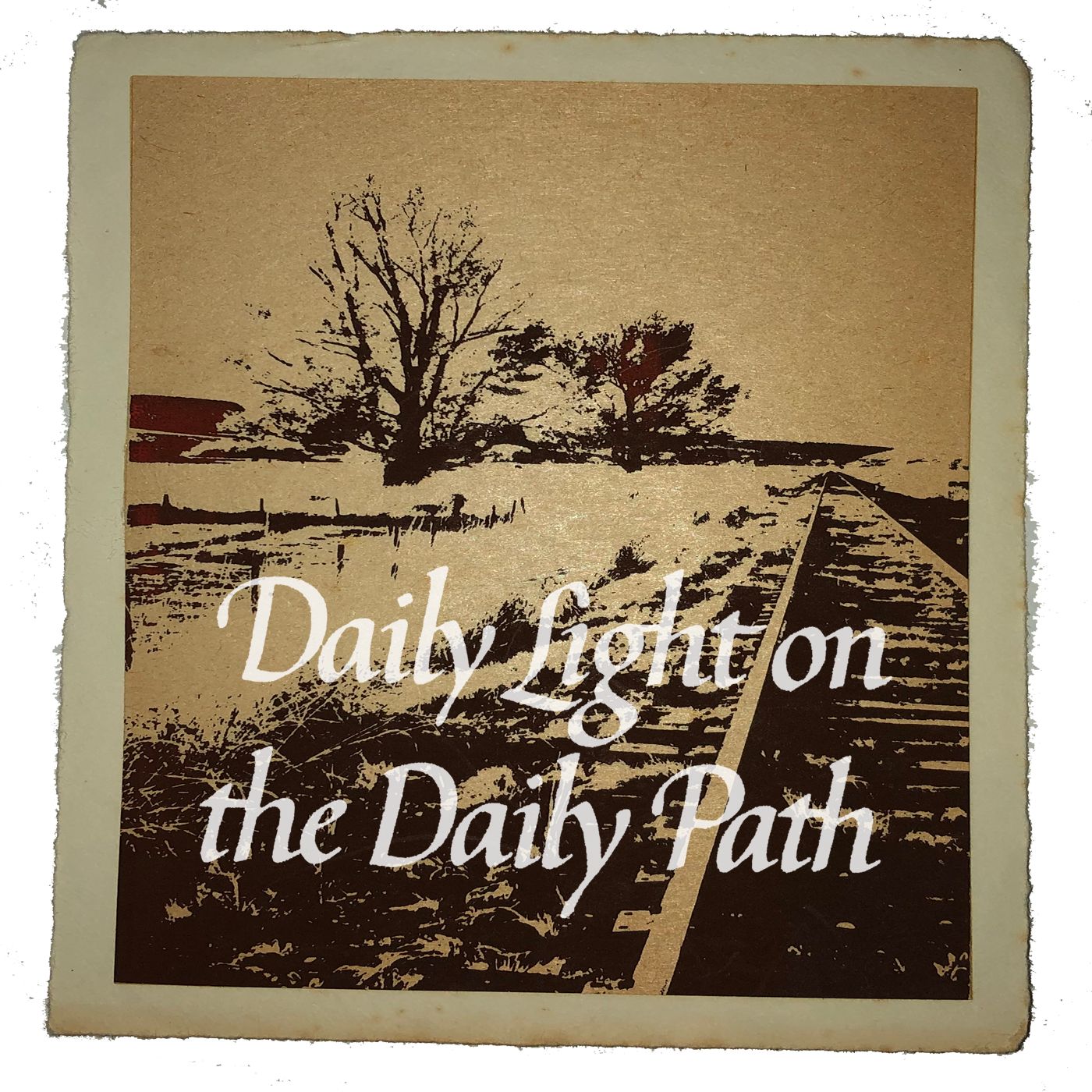 Daily Light January 1