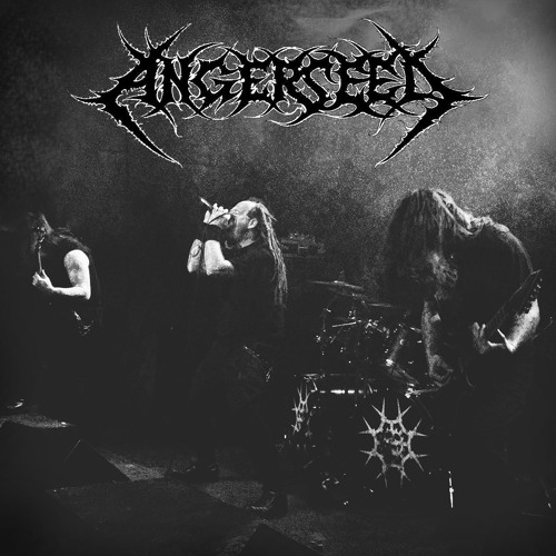 Angerseed’s avatar