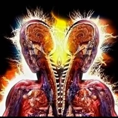 Mohammed Akram Mashaal