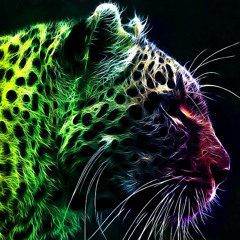 coller tiger xd