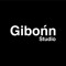 GIBONN™