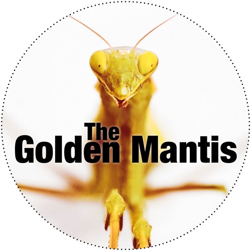 The Golden Mantis’s avatar