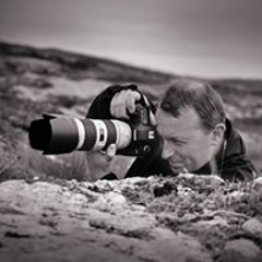 Владимир Гаврилов