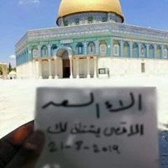 Alaa Reda