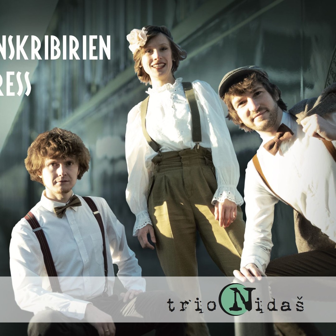 Trio Nidaš’s avatar