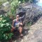 hayman