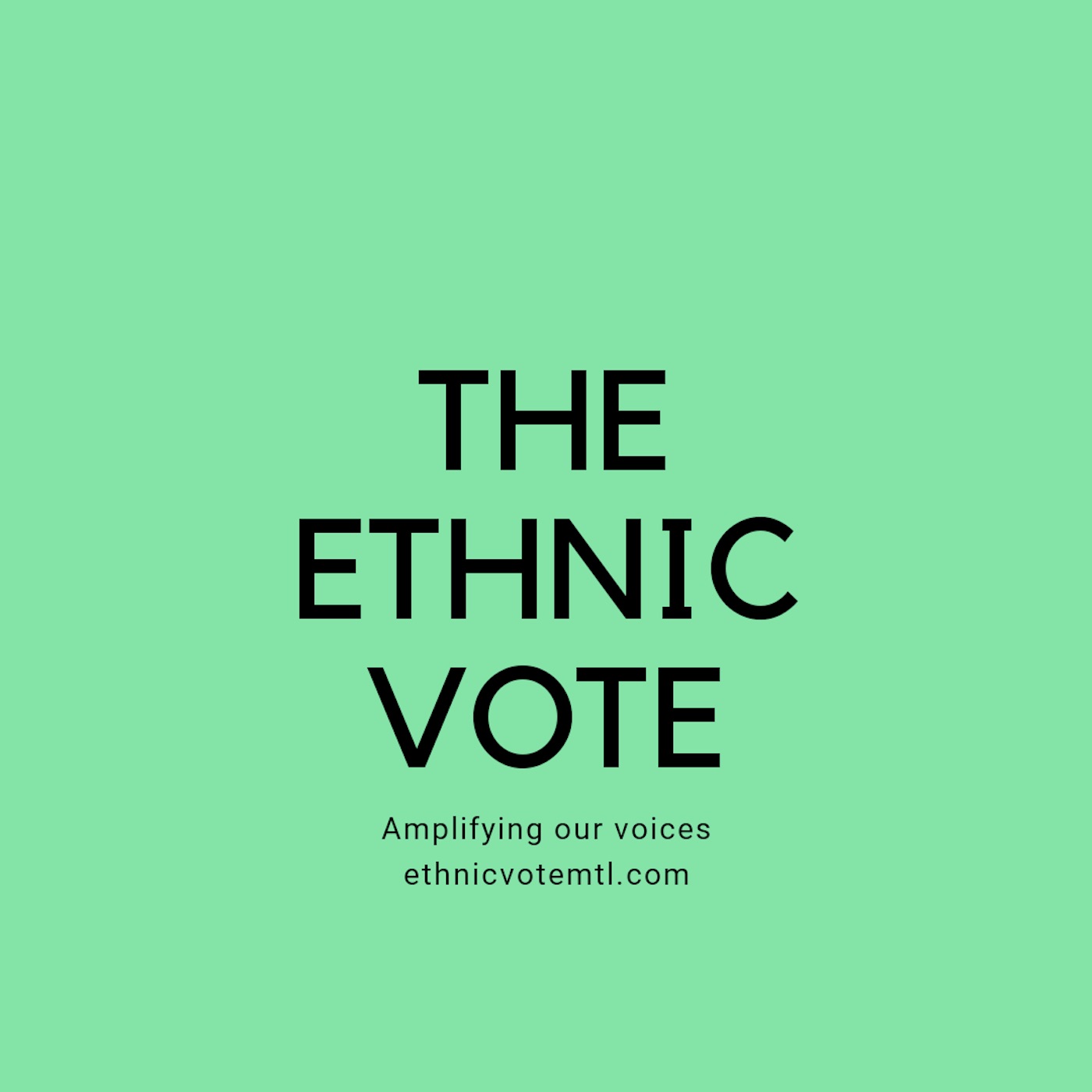 The Ethnic Vote