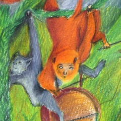 Le désespoir des singes