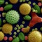 SPorES