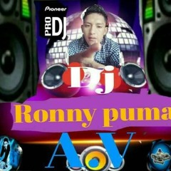 Ronny Puma