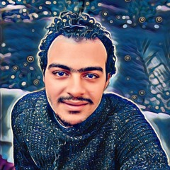 Hussen abdelhamed kssapy