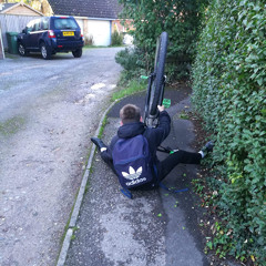 lew1s.wilts