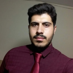 محمد روحی