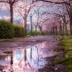 Lior_Cohen