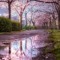 Lior_Cohen