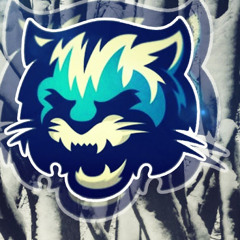 FlokiVska Gameplays