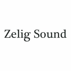 Zelig Sound