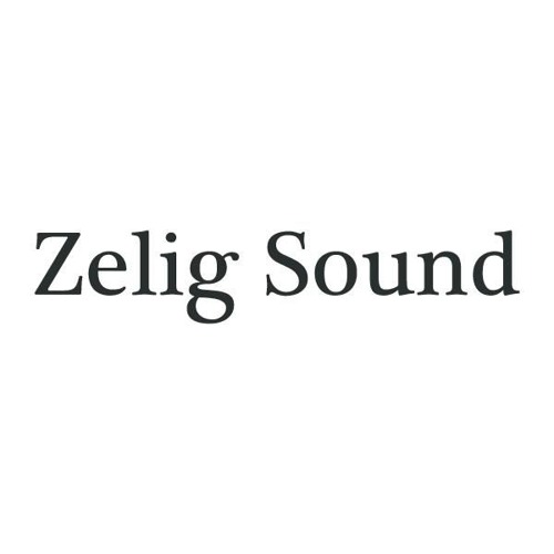 Zelig Sound’s avatar