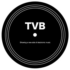 The Vinyl Basement - EDM