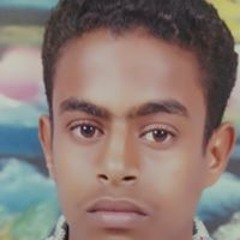 وليد الضوى