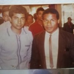 Adel fadel