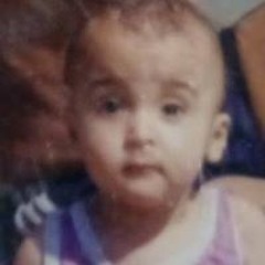 محمد حميد
